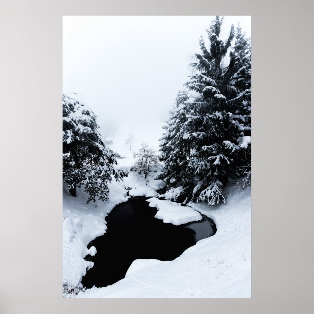 Poster Lagoa de neve e árvores desaparecendo no nevoeiro (Frente)