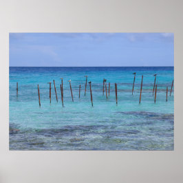 Poster Lagoa de Rangiroa