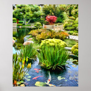 Pôster Lagoa japonesa do jardim com Koi HDR o 10 de julho