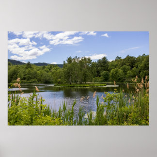 Poster Lagoa Plum Brook