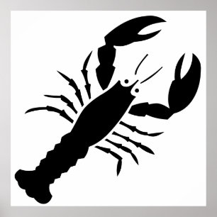 Pôster Lagosta vermelha