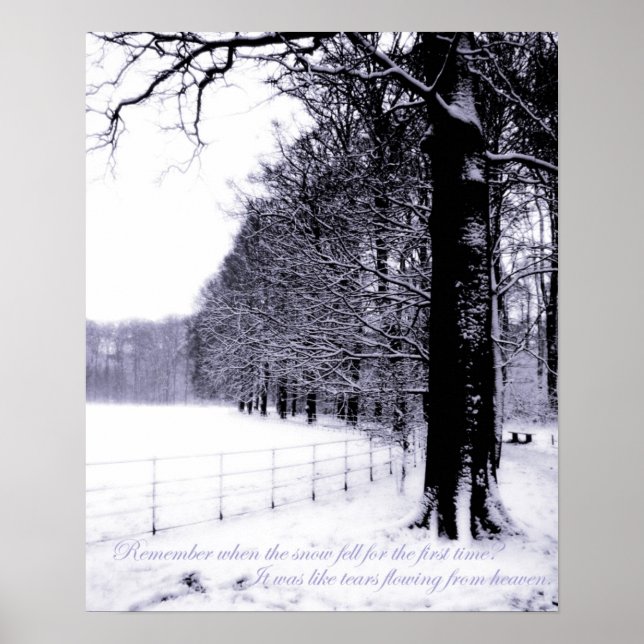 Poster Lágrimas congeladas (Frente)