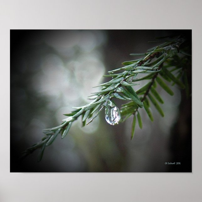 Pôster Lágrimas de Hemlock (Frente)