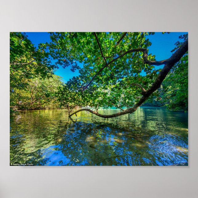 Poster Laguna Azul da Jamaica, Porto Antonio (Frente)