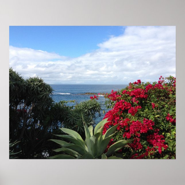 Poster Laguna Beach Ocean View (Frente)