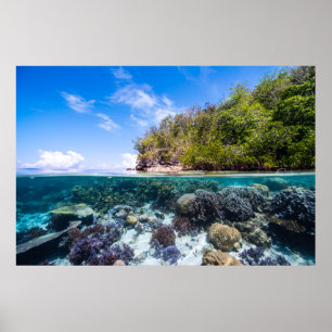 Poster Laja Ampat Underwater 2