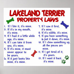 PÔSTER LAKELAND TERRIER PL2