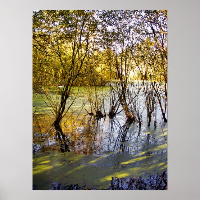 PÔSTER LAKES (Frente)