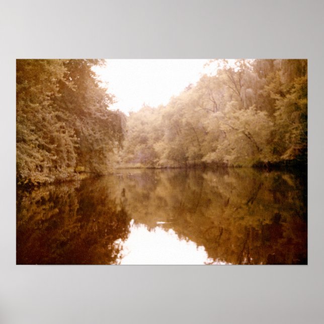 Pôster Lakeview espelhada (Frente)