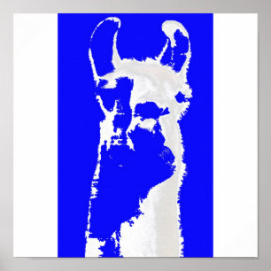 Pôster Lama azul