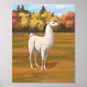 Poster Lama Branco na Pastagem da Fazenda do outono