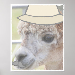 Poster Lama do partido com um bigode