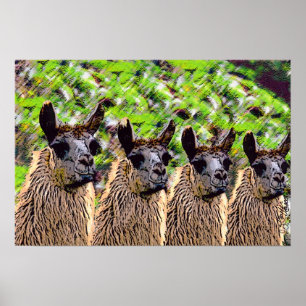 Poster 'Lama do SE de Como? '