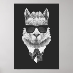 Poster Lama elegante
