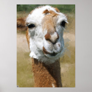 Pôster Lama Feliz, Efeito Pintura