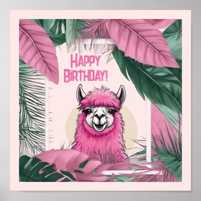 Poster Lama Feliz Sorridente Rosa (Frente)