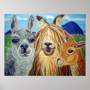 POSTER LAMAS DA REUNIÃO: LAMA, ALPACA, VICUNA!!!