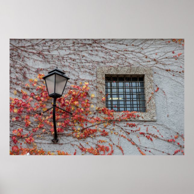 Pôster Lamp On A Grey Wall (Frente)