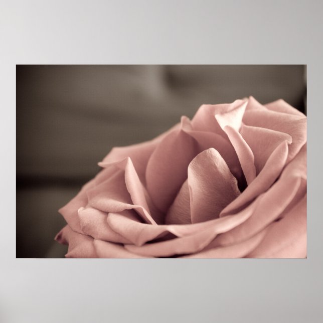 Pôster Lâmpada (Frente)