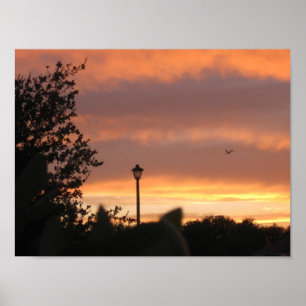 Pôster Lâmpada Postada e pássaro