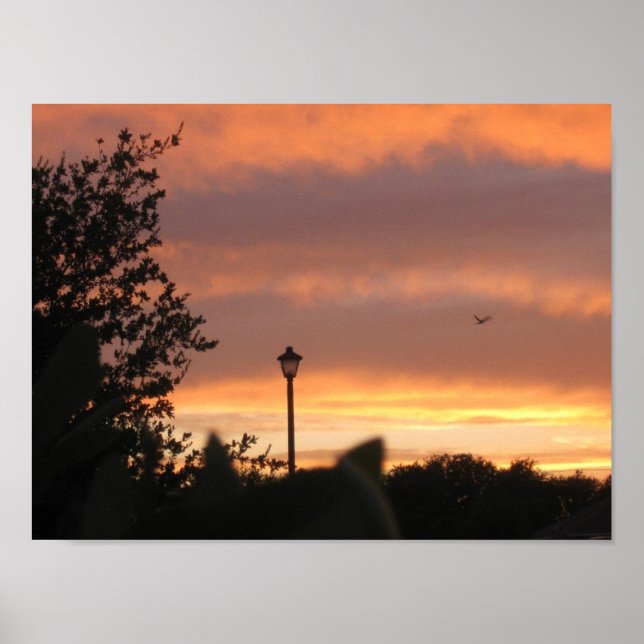 Pôster Lâmpada Postada e pássaro (Frente)