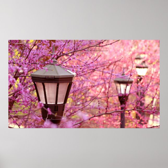 Poster Lâmpadas de UVA (Frente)