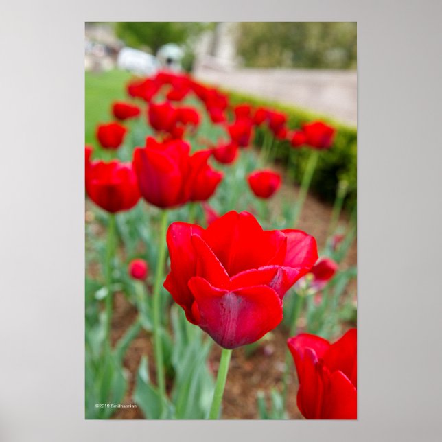 Poster Lâmpadas Haupt, Fechamento (Frente)