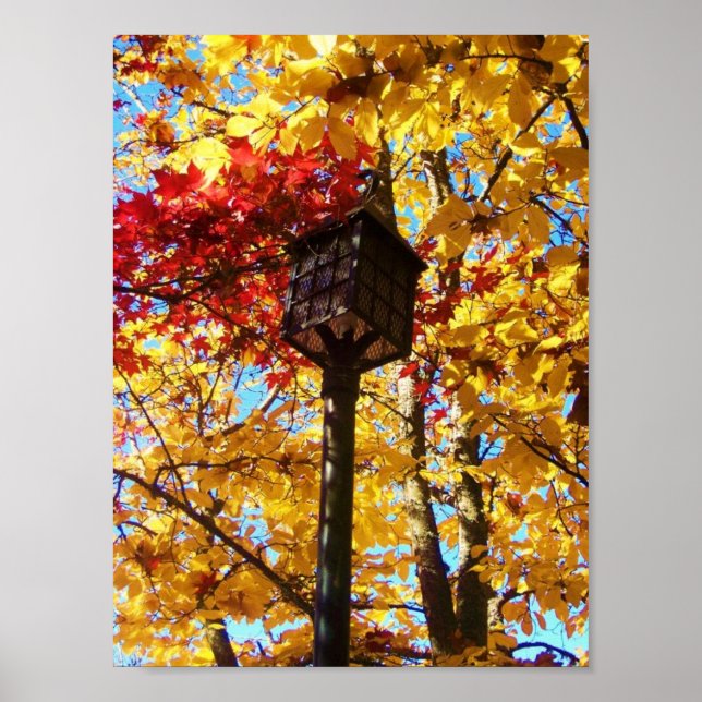 Pôster Lamppost (Frente)