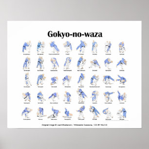 Poster Lances de judo