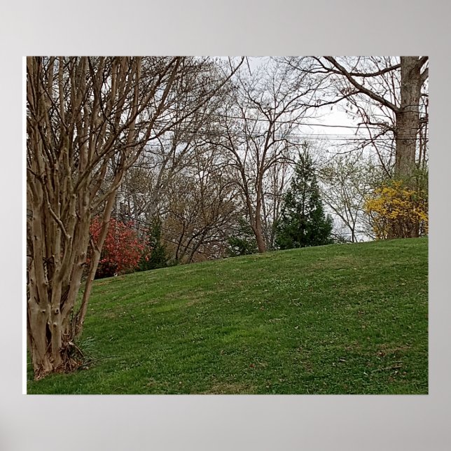 Poster Landscape design  (Frente)