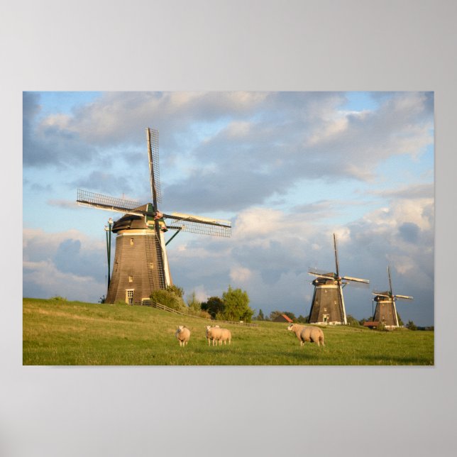 Poster Landscape with windmills and sheep (Frente)