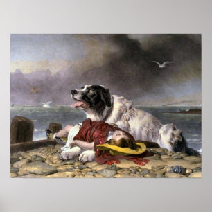 Pôster Landseer salvar