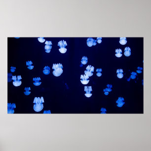 POSTER LANTERNS LIGADOS
