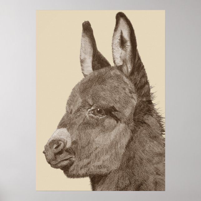 Pôster lápis de lápis, desenho de burro giro (Frente)