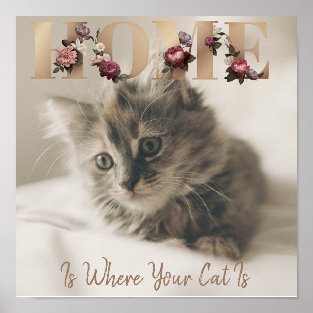Poster Lar É Onde Está O Seu Gato (Frente)
