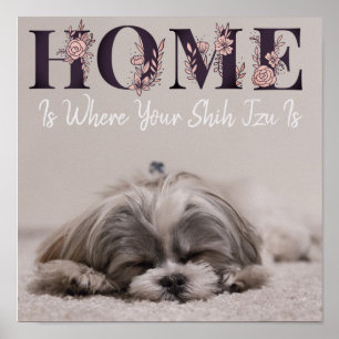 Poster Lar é Onde Está o Seu Shih Tzu
