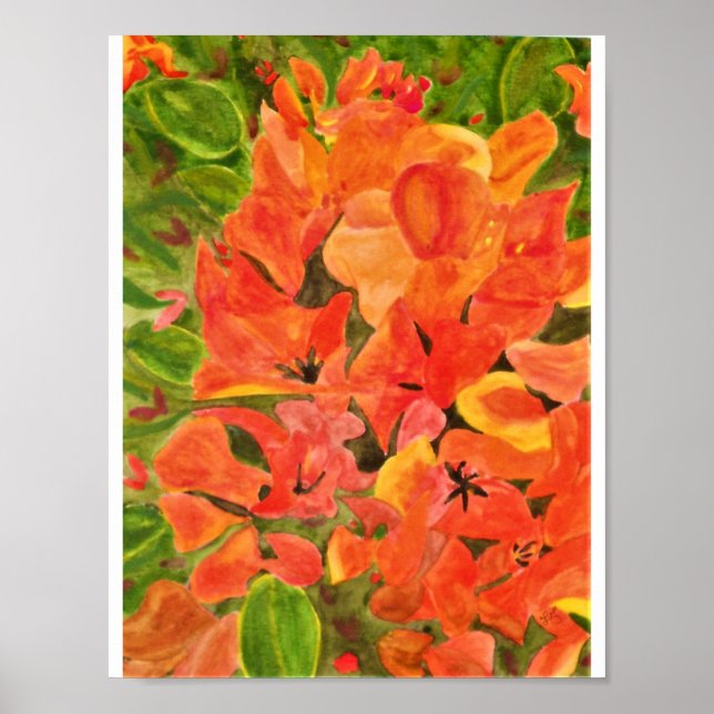 Pôster Laranja-Amarelo Bougainvillea Watercolor (Frente)