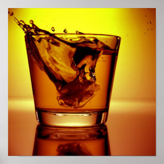 Pôster Laranja cocktail