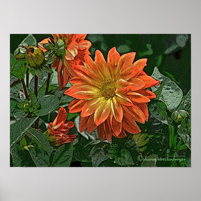 POSTER "LARANJA E AMARELO DAHLIA" (Frente)