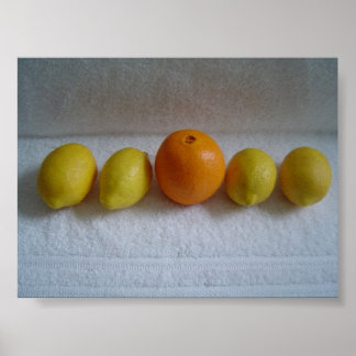 Poster Laranja e limões