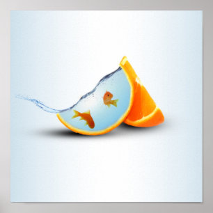 Poster Laranja e Peixe Vermelho