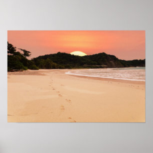 Poster Laranja Preguiçoso Sunset