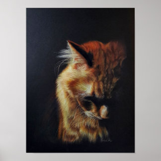 Poster Laranja Tabby Cat "Permaneça Forte" Arte Lápis Col