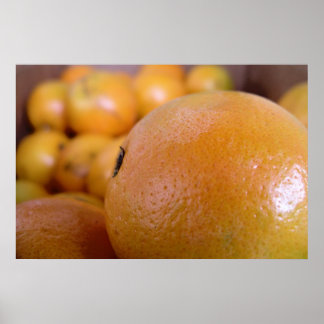 Poster Laranjas 2