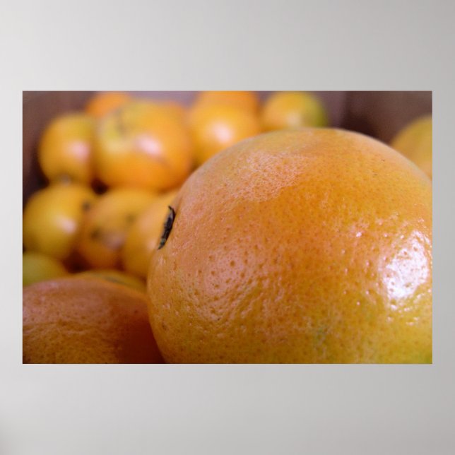Poster Laranjas 2 (Frente)