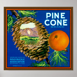 Poster Laranjas de Pine Cone