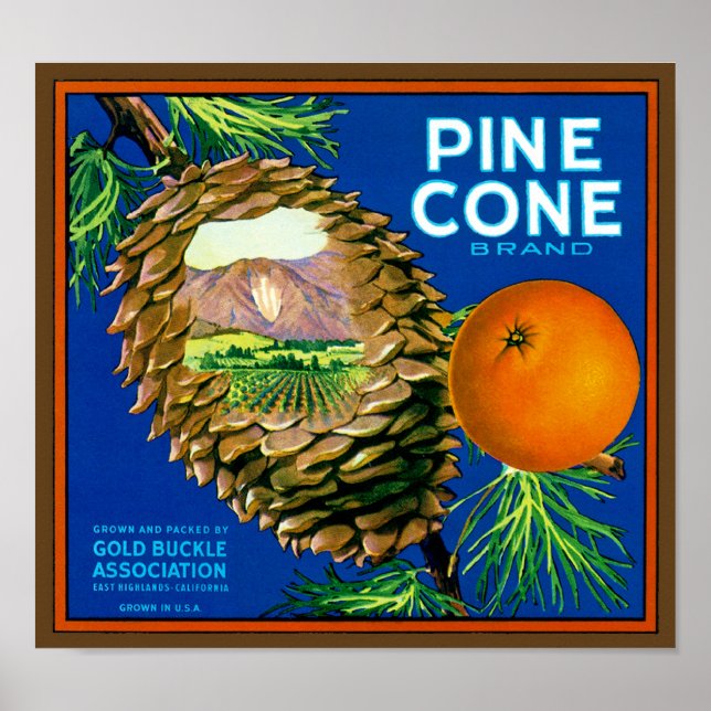 Poster Laranjas do Pine Cone (Frente)