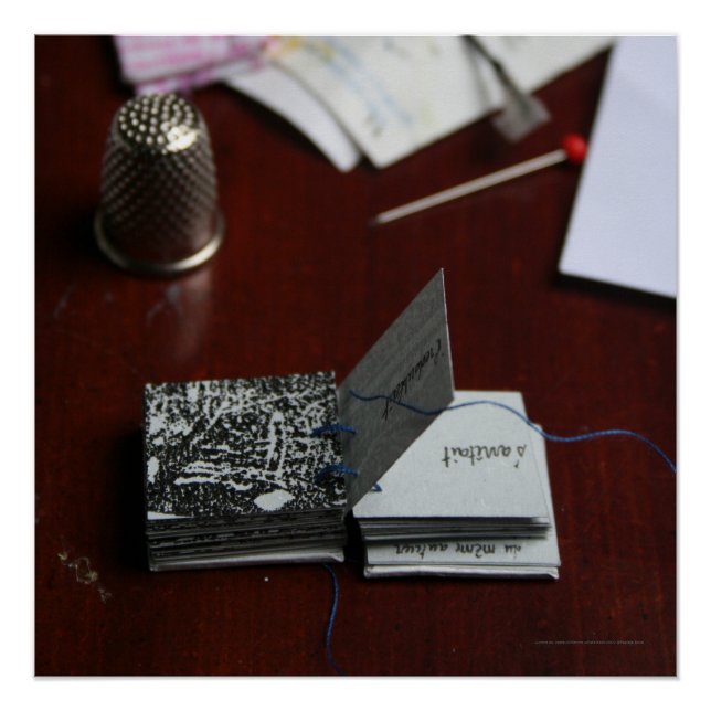 Pôster L'Arbre O Carré Praça Miniatura Árvore Livro (Frente)