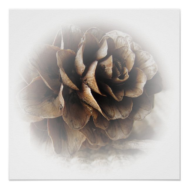 Pôster Larch Cone Poster (Frente)