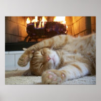 Lareira Cat